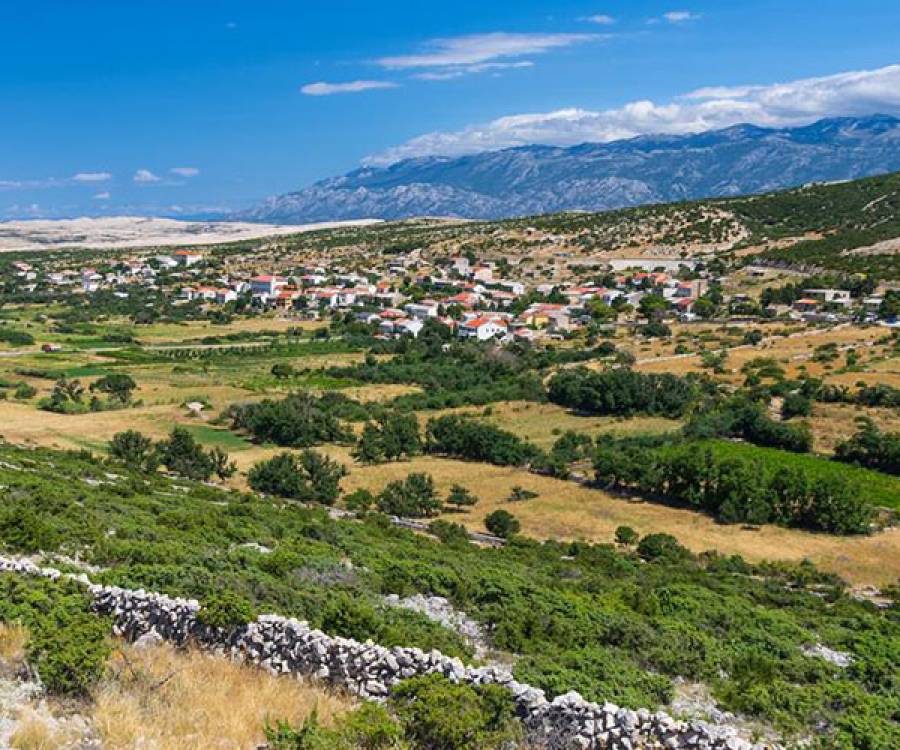 OGLASI ZA ZASNIVANJE RADNOG ODNOSA